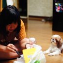 예지사료 이미지