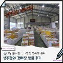농협하나로마트 수변점 맞은편 | 성주 참외 경매장 참외가격 위치 방문 후기