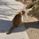 CU주문진수복점 | 강릉 여행 추천합니다