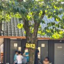 빌라드 아바 이미지