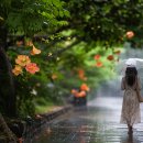 I enjoy the rain~ 이미지