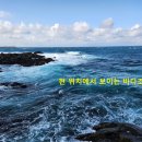 대지 이미지