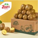 동향유통 이미지