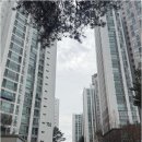 춘천상가전문공인중개사사무소 이미지