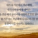 가운데