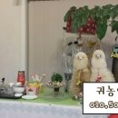 선화천년초 | 태안펜션_타이티펜션방문기*