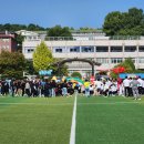 숲속다원유치원 이미지