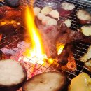 송한우