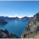 다온여행사 | 청주여행사 다온투어와 함께한 잊지 못할 제주도 여행 후기