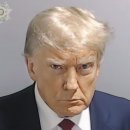 머그머그 이미지