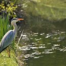 한양스크린골프장(스크린) 이미지