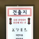 애견미용 견출지 노원점 네이버블로그