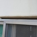 대도종합공사 이미지