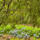 우산공원 주차장 이미지