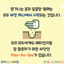 메타플랜 브런치
