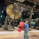 세종월드 | 아이랑 세종공룡월드 내돈내산 후기｜주차·공연·키즈카페·할인 총정리