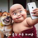 젬뱅이 이미지