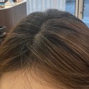 달콤한게으름 - 용인시 수지구 광교중앙로 338 | 홍대 합정 미용실 달콤한게으름 뿌염 후기