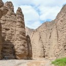 석림4로 이미지