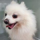 안의리마을회관 이미지