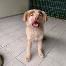 경북약국 이미지