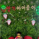 도영농장 이미지