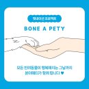 본아페티 이미지