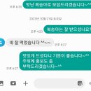 초 고당고 눈꽃복숭아 노마진 특가 송이버섯 시즌 마지막 이미지