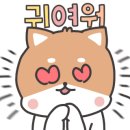 뽑기언냐 이미지