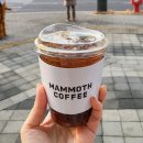 용우동충무 | [주간일기 : 2월 3주] 우리할매떡볶이, 용우동, 김치콩나물국밥, 하시라, 코스트코, 풍년상회, 커피빈