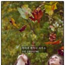 정미경 행정사 사무소 이미지