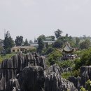 석림3로 이미지