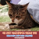 동명여자고등학교 이미지