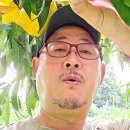 와현농장 이미지