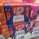 [일본 오사카] 쇼핑리스트 가격비교_빅카메라 쿠폰_일반 마트 장보기후기