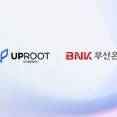 루트 이미지