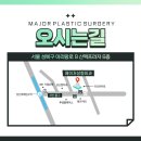 메이저성형외과의원 이미지