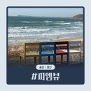 밧개오션 | [충남/태안] 피엠뷰 | 안면도 밧개해수욕장 애견 동반 가능한 오션뷰 카페 후기