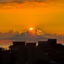 오션초등학교 이미지