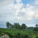 하례광장로 이미지