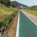 백세공원 이미지