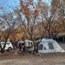 자연속캠핑장 이미지