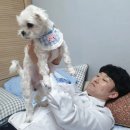 후니피자 네이버블로그