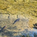 이번 대선에는 기호 3번이 없다네요. 이미지