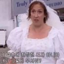 분노의 드레스샵 찾기(금액대별 드레스샵)