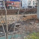 씨유(CU)서대문구청점 | 씨유 서대문구청점 편의점 데미소다자몽 1+1
