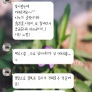 시봉공방 | 가게 로고 디자인 하는 법 (feat. 메르시봉 비누공방)