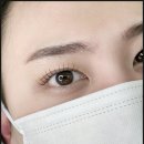 도안동 속눈썹 메리유 뷰티 꼼꼼한 관리 후기