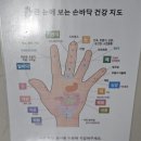 한국시니어서비스 | 자연휴양림에서 열린 시니어 산림건강교육 '숲에서...모두를 위한 숲, 무장애둘레길 생생한 취재 후기