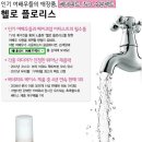 플로리스 이미지
